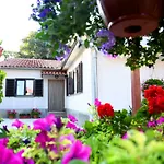 Nadia's House