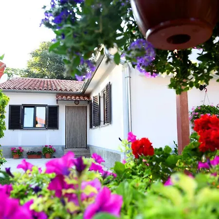 Nadia's House